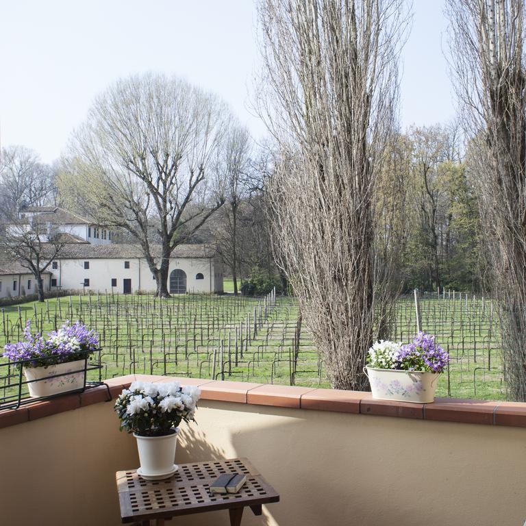 Villa Stefania Noventa Padovana Kültér fotó