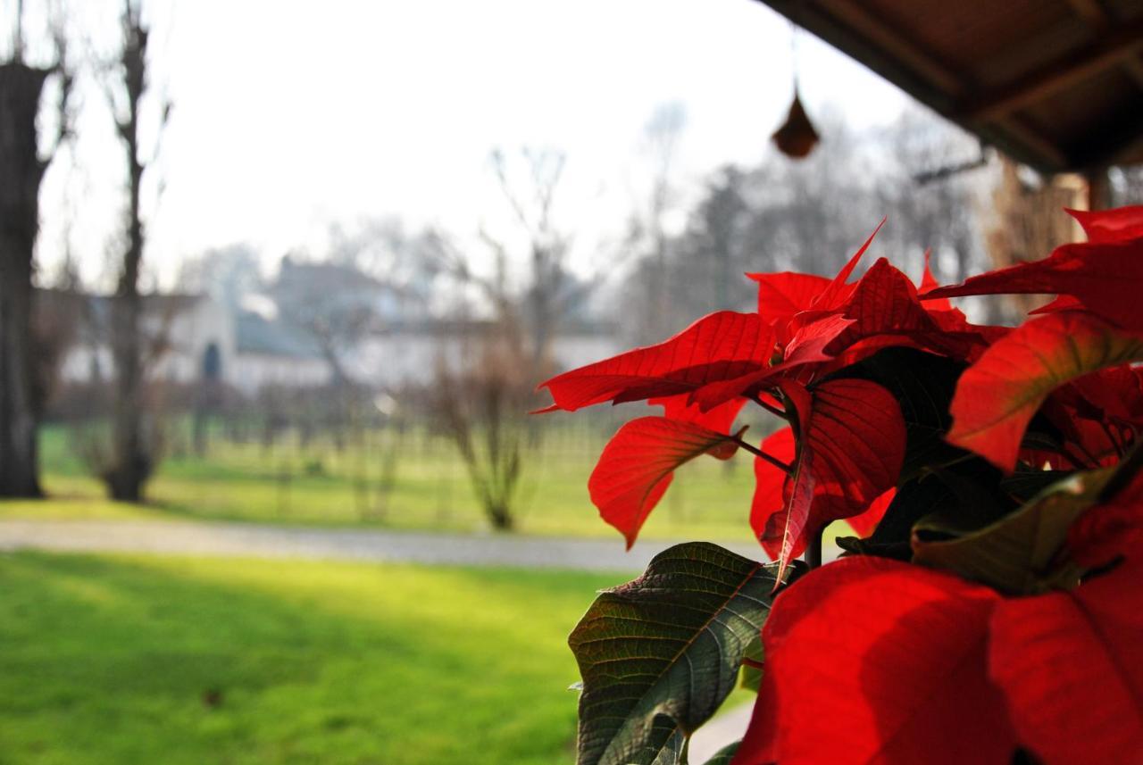 Villa Stefania Noventa Padovana Kültér fotó